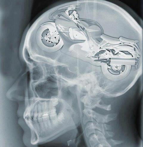 bike brain
